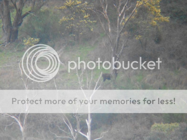 DSCN0565resize29.jpg~original