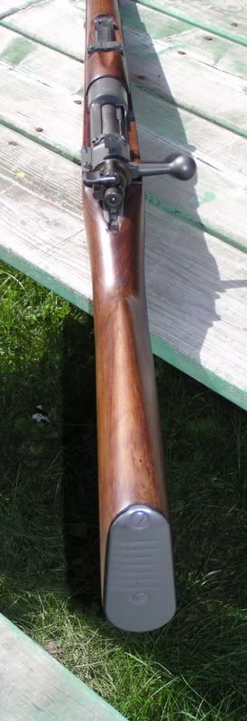 P1010068-3.jpg