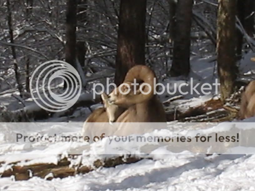 IMG_0673.jpg