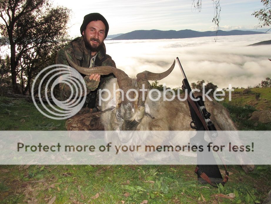 IMG_1069billy308.jpg~original