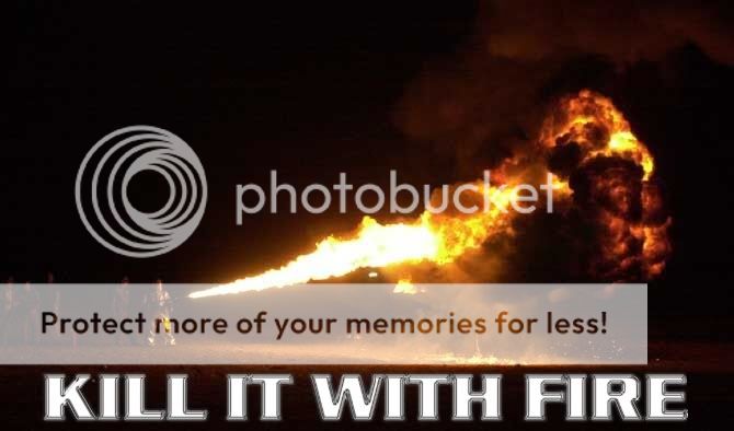 KillwithFire.jpg