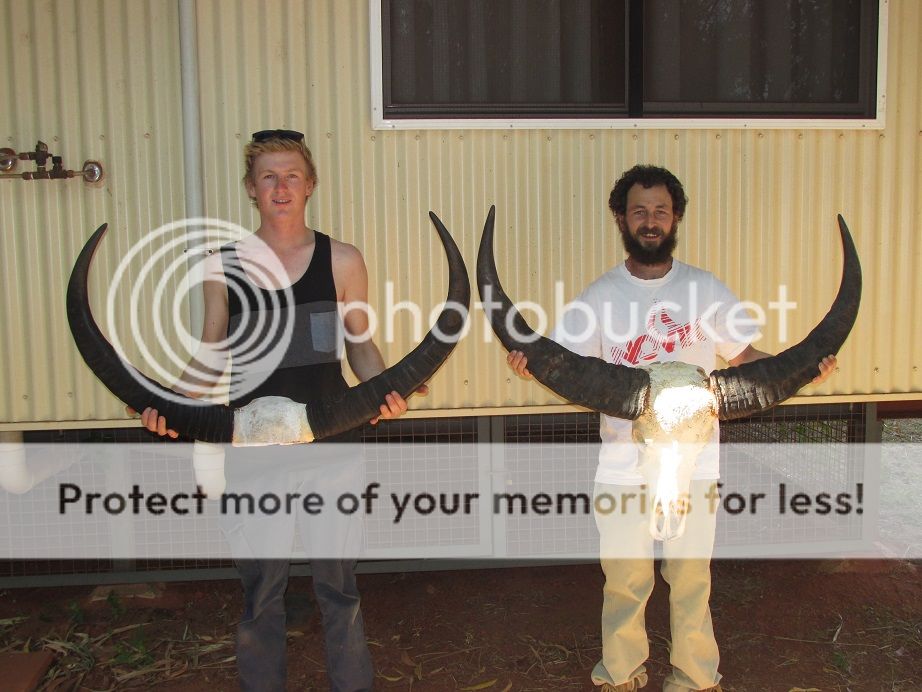 IMG_1598Trophys.jpg~original