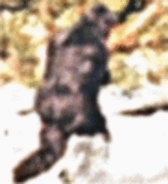 medium_thBIGFOOT_zpsh7elnduz.gif