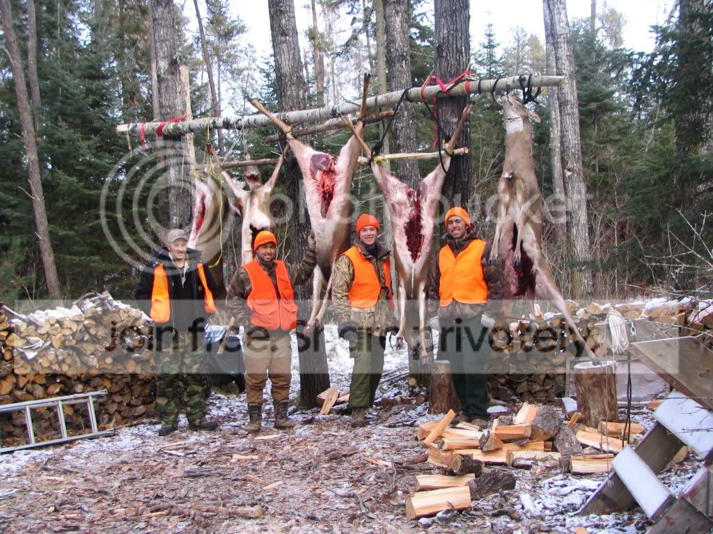 DearHunting06091.jpg