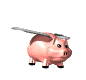 pig-fly.gif