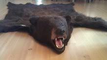bear5.jpg