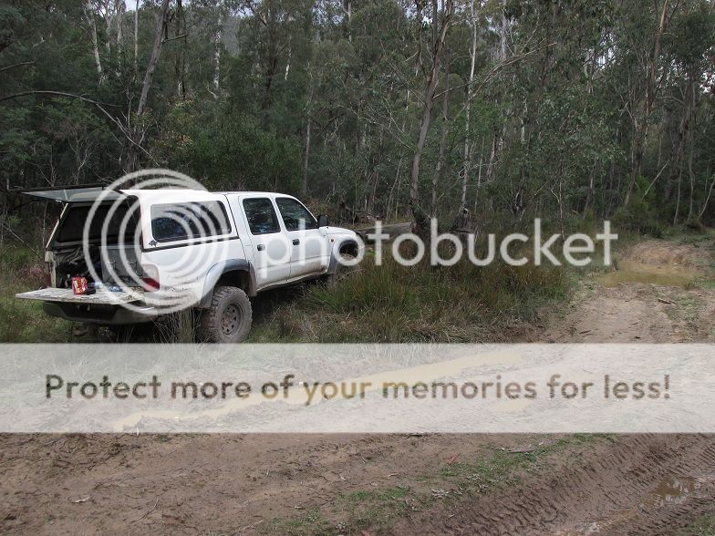 IMG_0985mongrel.jpg~original