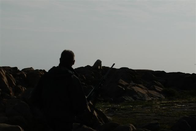 DSC_0039.jpg