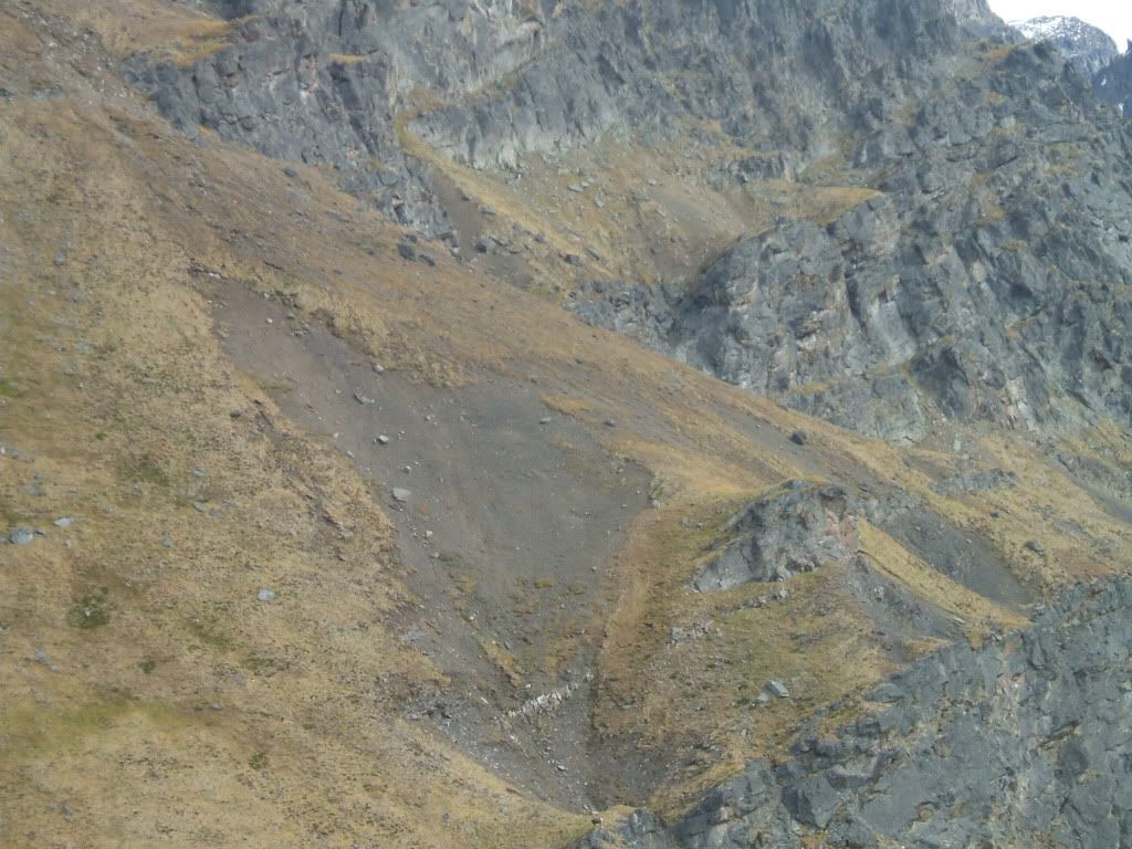 DSCF0466.jpg