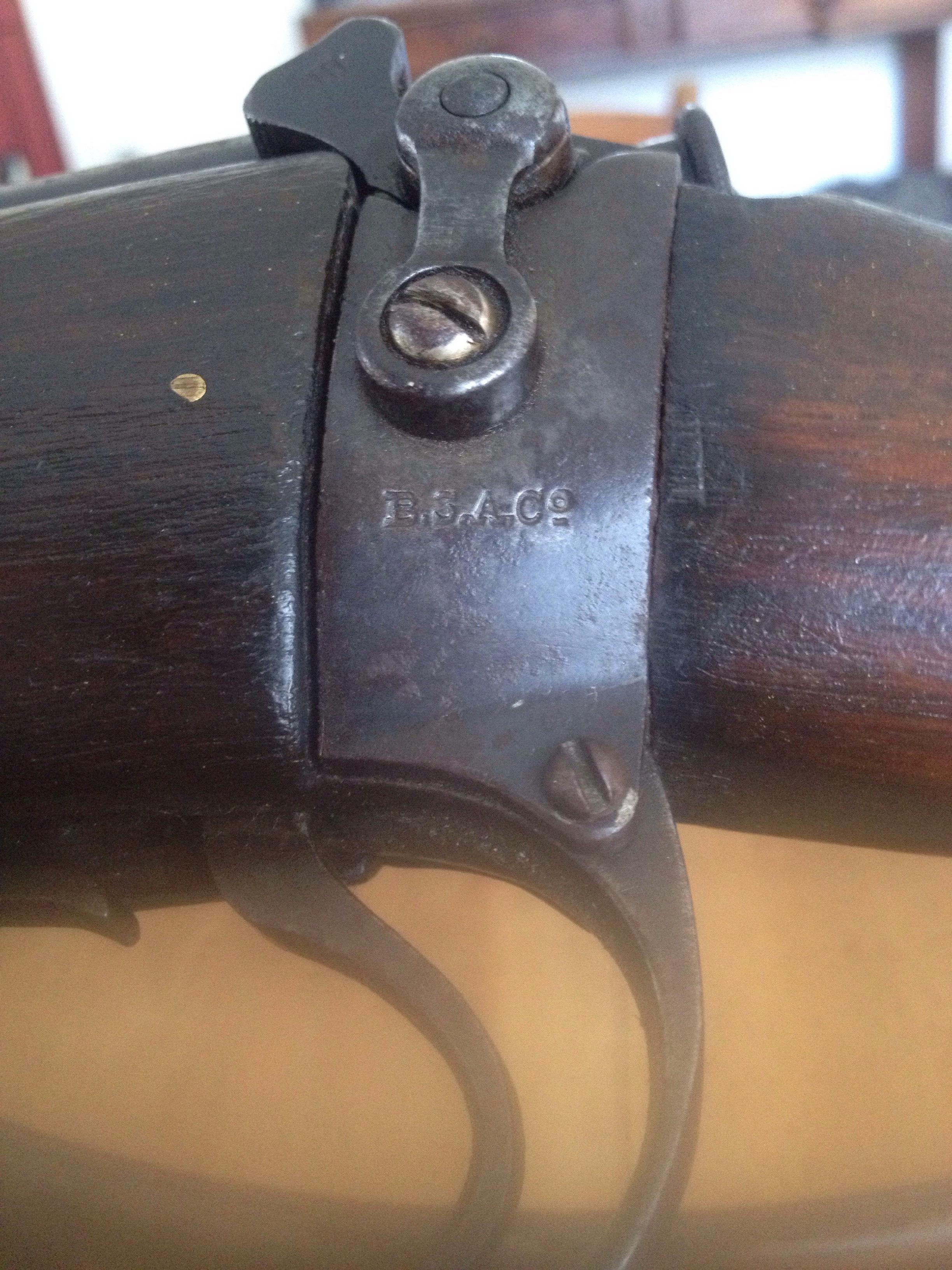 zgVwyBF.jpg