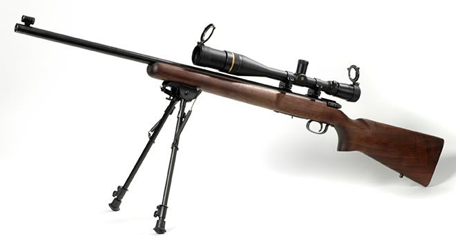 rem_513t_leupold2_wr.jpg