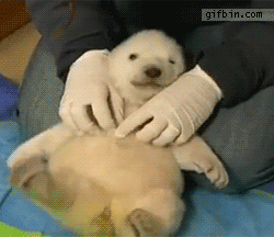 RZ4VC.gif