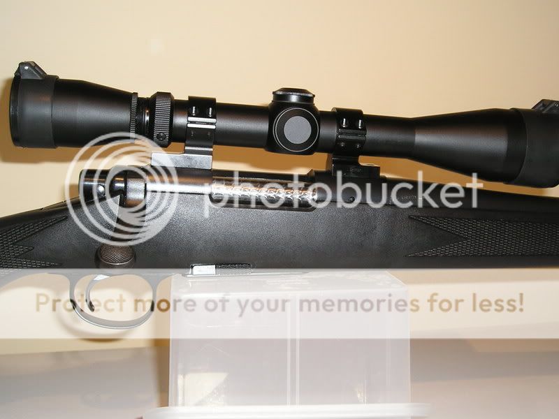 mtnrifle260003.jpg