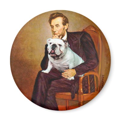 english_bulldog_9_lincoln_magnet-p147854132696983735z85qu_400.jpg