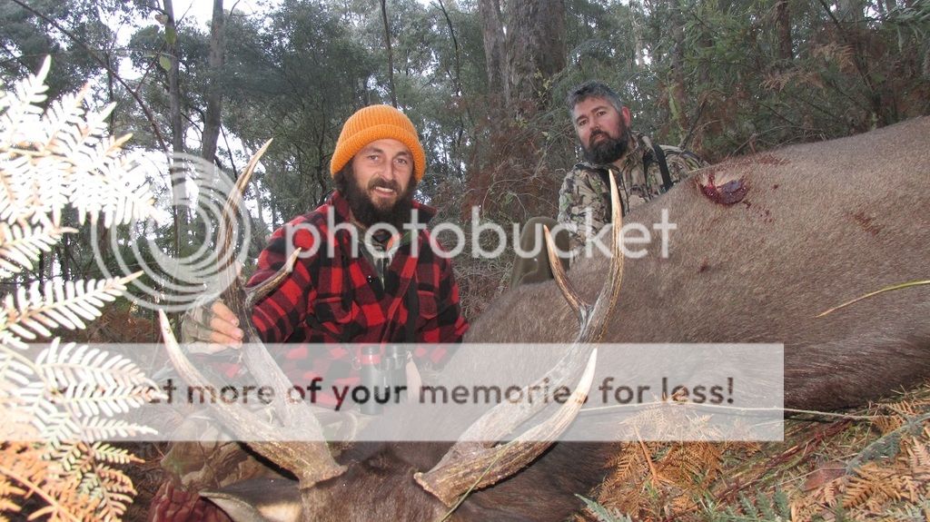 IMG_5942hdjoefish.jpg~original