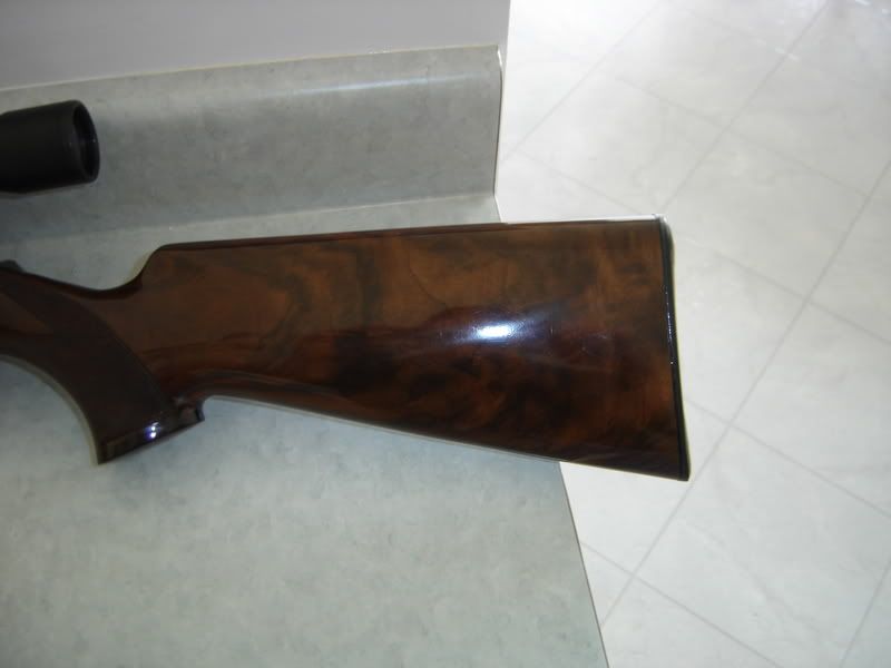 DSC01394.jpg