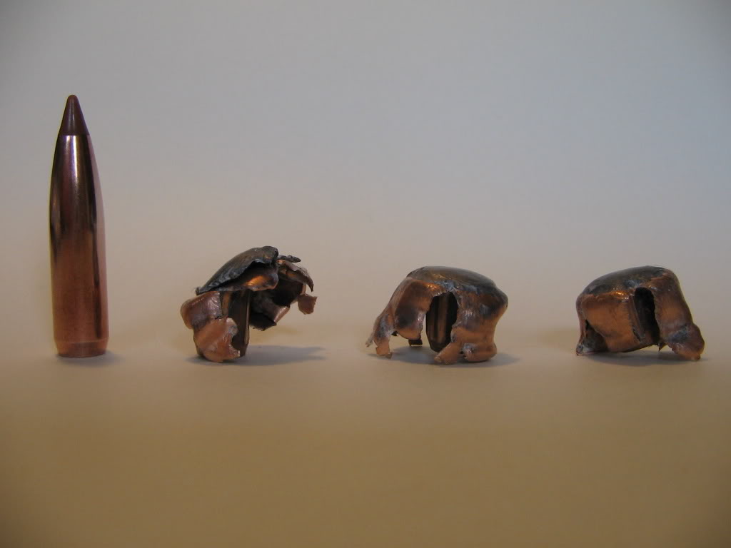120gr-Nosler-BTip.jpg