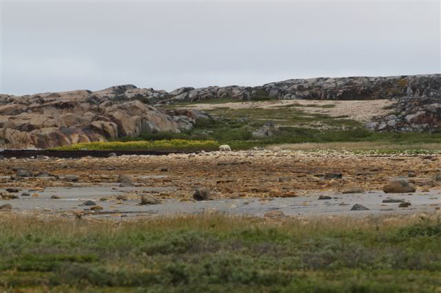 DSC_0479.jpg