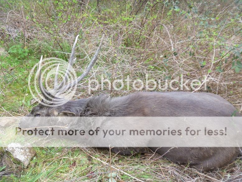 P1020161resize28i.jpg~original