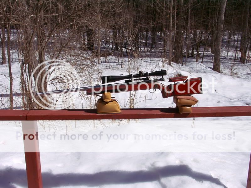 stevens_march20011_1.jpg