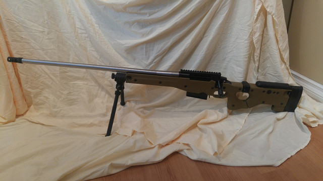 newrig.jpg