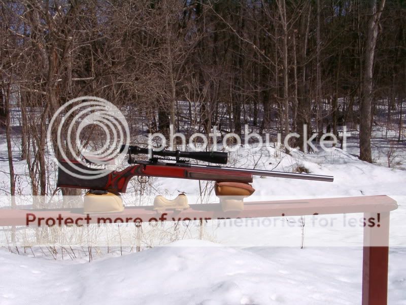 stevens_200_3.jpg