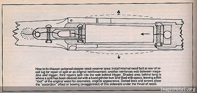 lott06picture.jpg