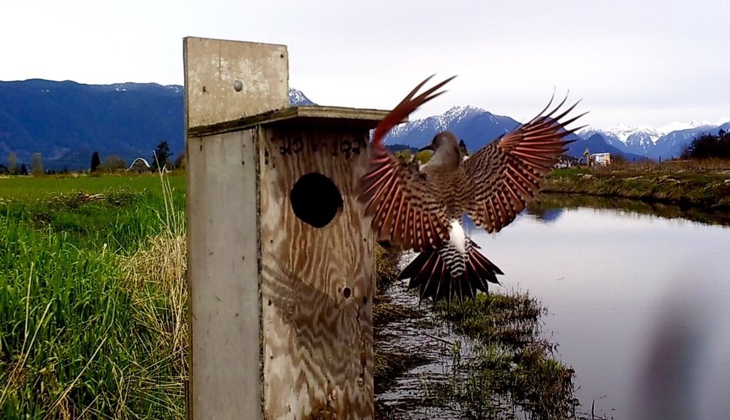 SUNP0407_zpsbzbguf80.jpg~original