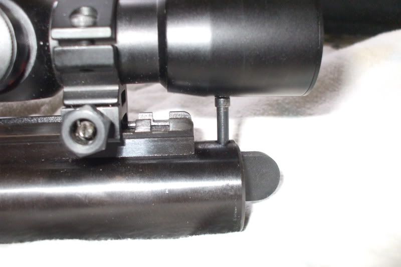 DSCF7373.jpg