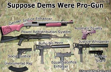 DemProGun.jpg