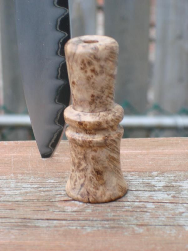 DSC03069.jpg