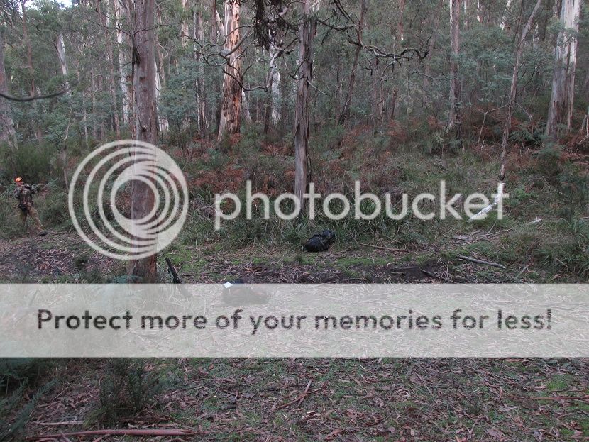 IMG_3308congosystem.jpg~original