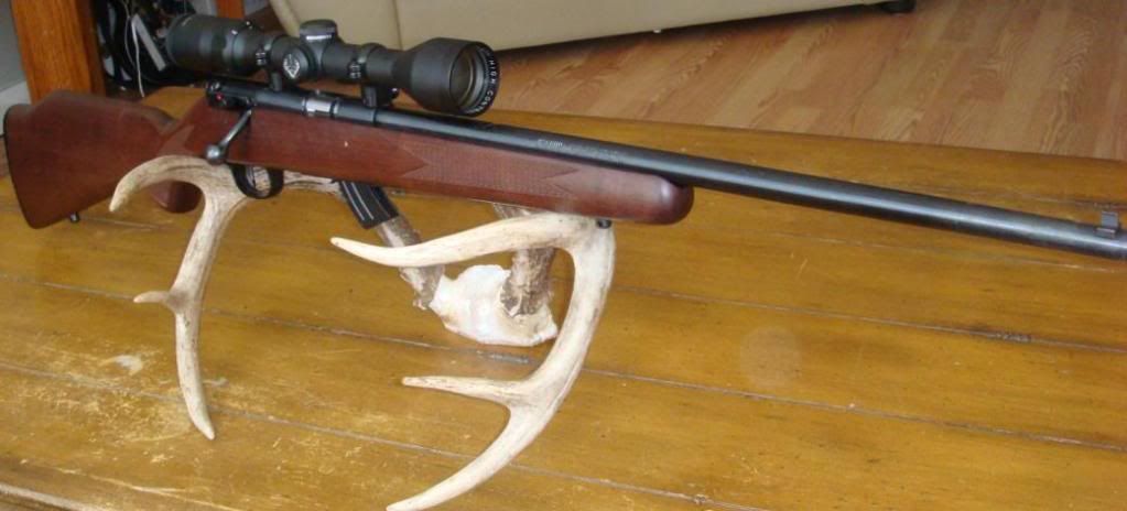 SavagemarkII.jpg