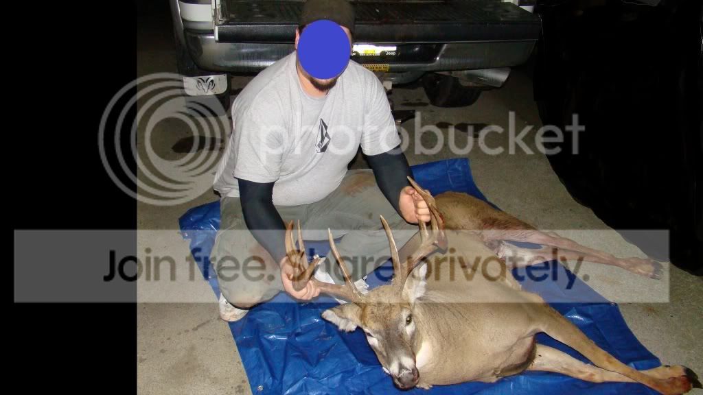 deer20113432.jpg