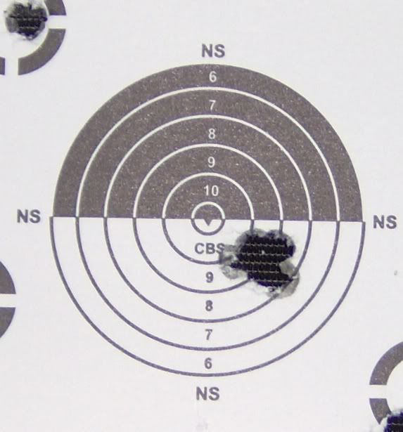 VBull004.jpg