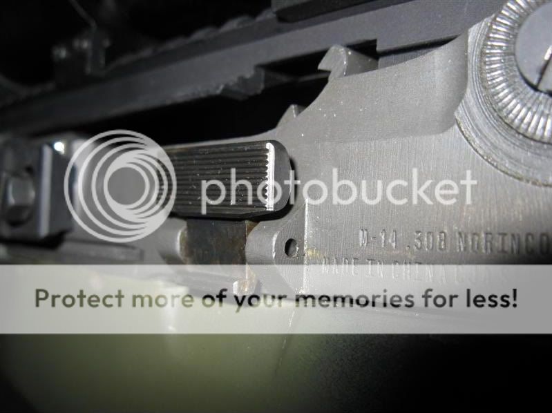 IMG_1527Medium.jpg