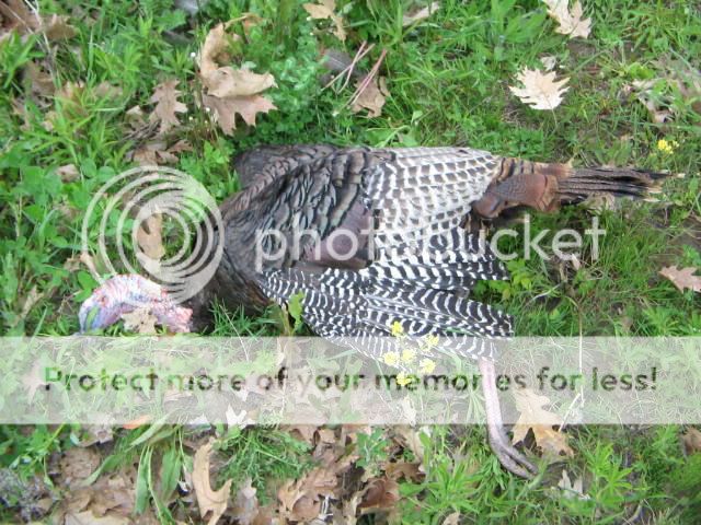 IMG_0584.jpg