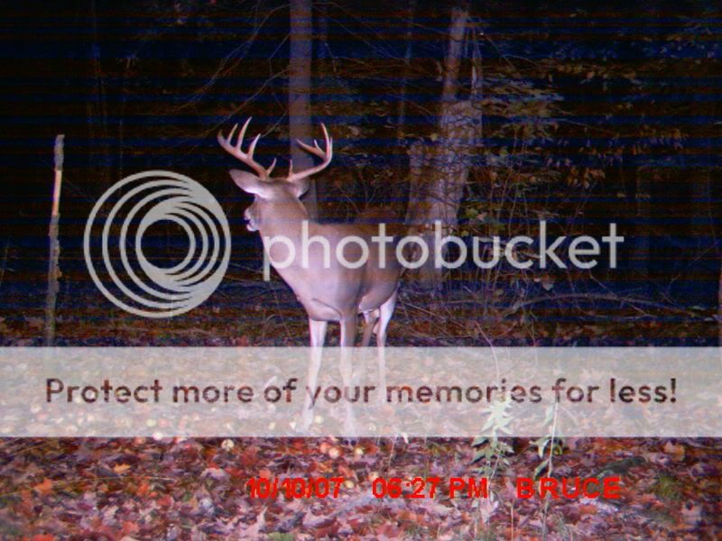 TrailcamDugOct07090.jpg