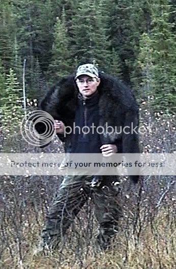 wolf4.jpg