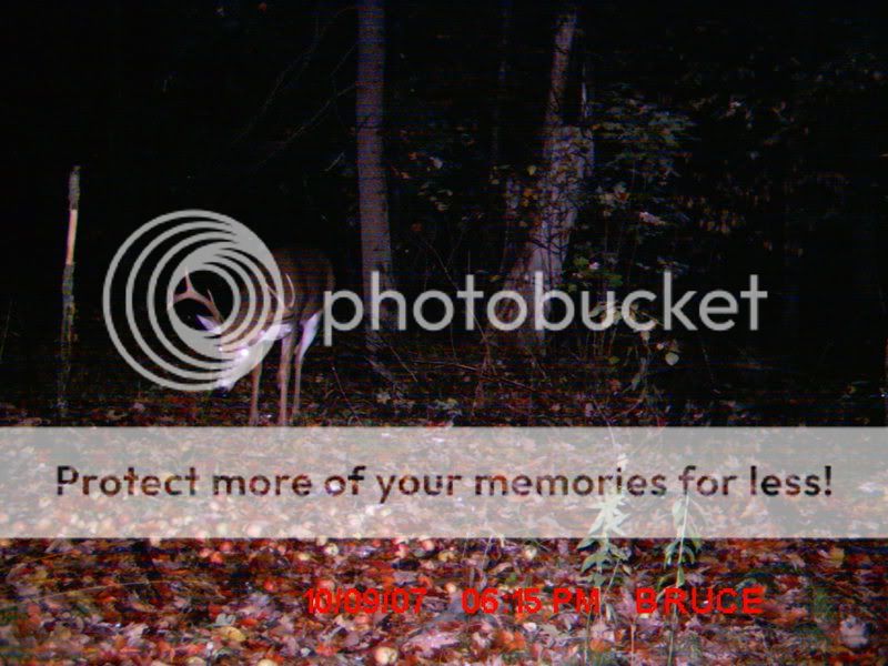 TrailcamDugOct07058.jpg