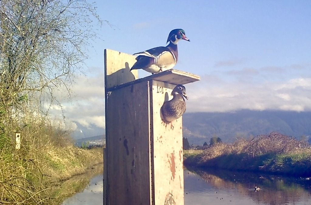 SUNP0444_zpsrmgo9uk2.jpg~original