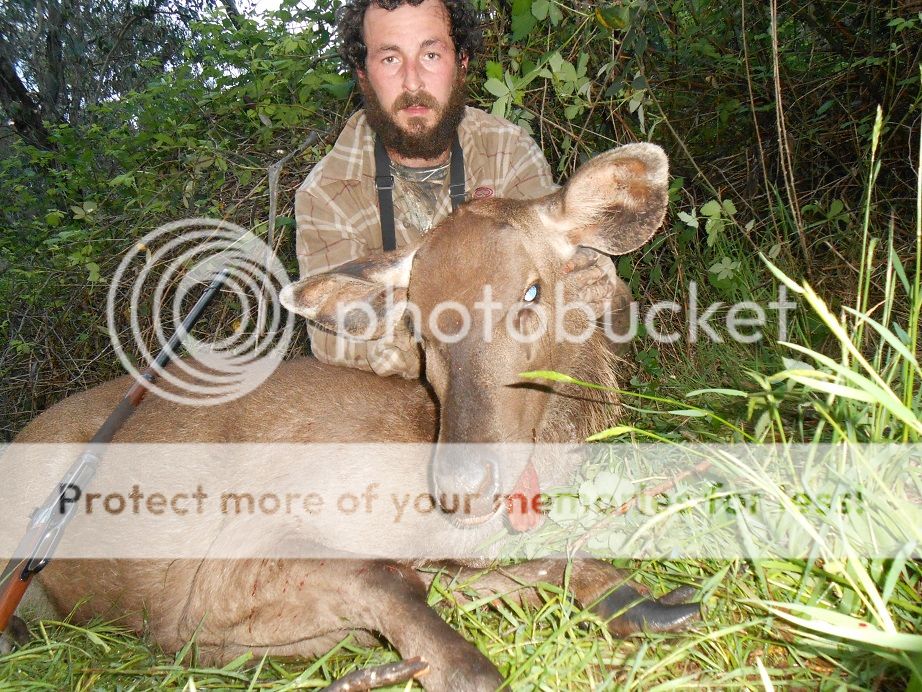 DSCN0709hind1.jpg~original