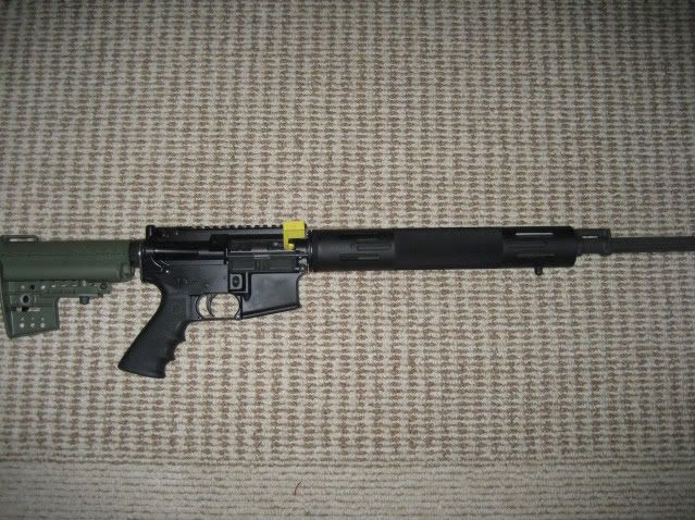 Predator004.jpg