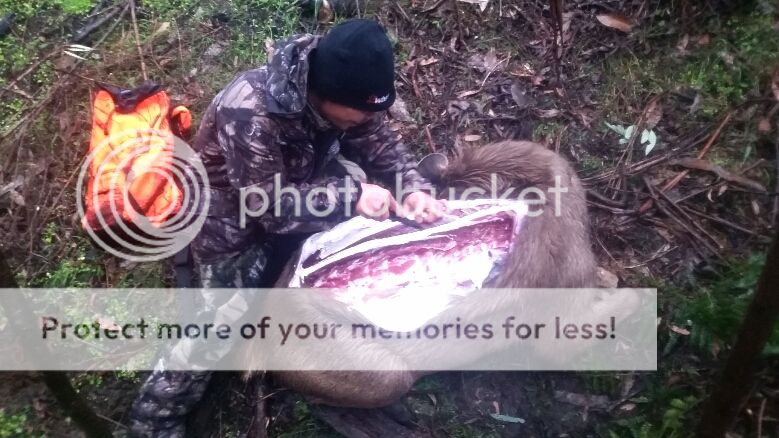 2015-08-02%2022.31.07.jpg~original