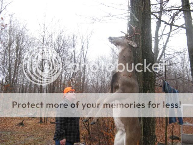mebuck.jpg
