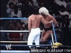 ric-flair-flop-o-2_zps01ab8045.gif