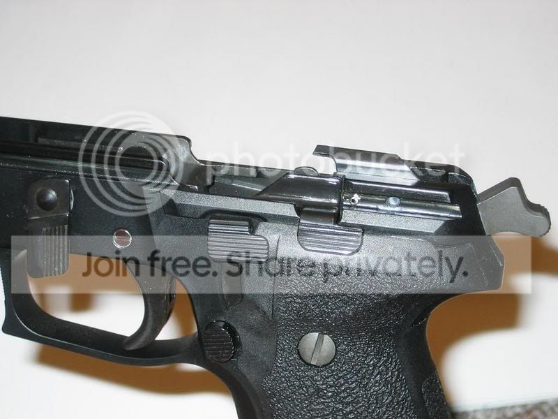 SIG17.jpg