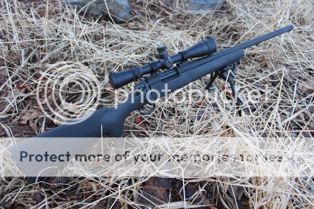IMG_4616.jpg