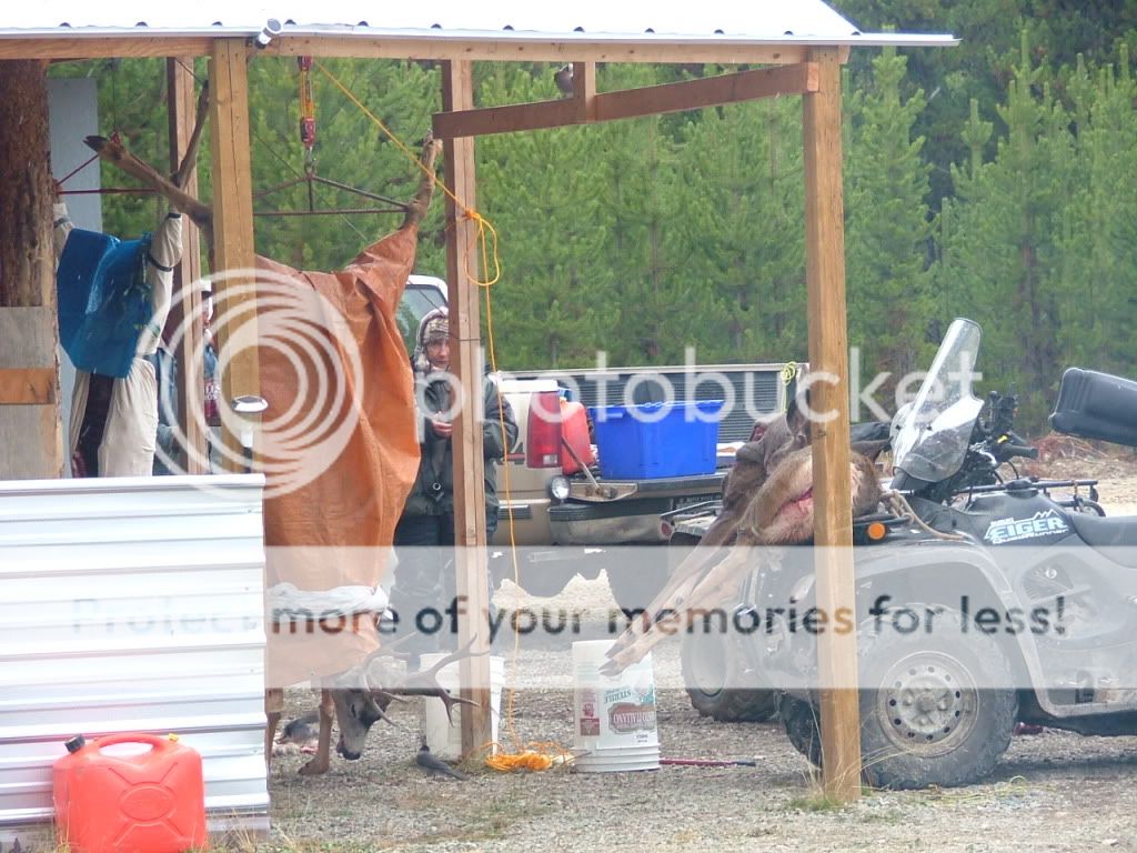 DSCF2203.jpg