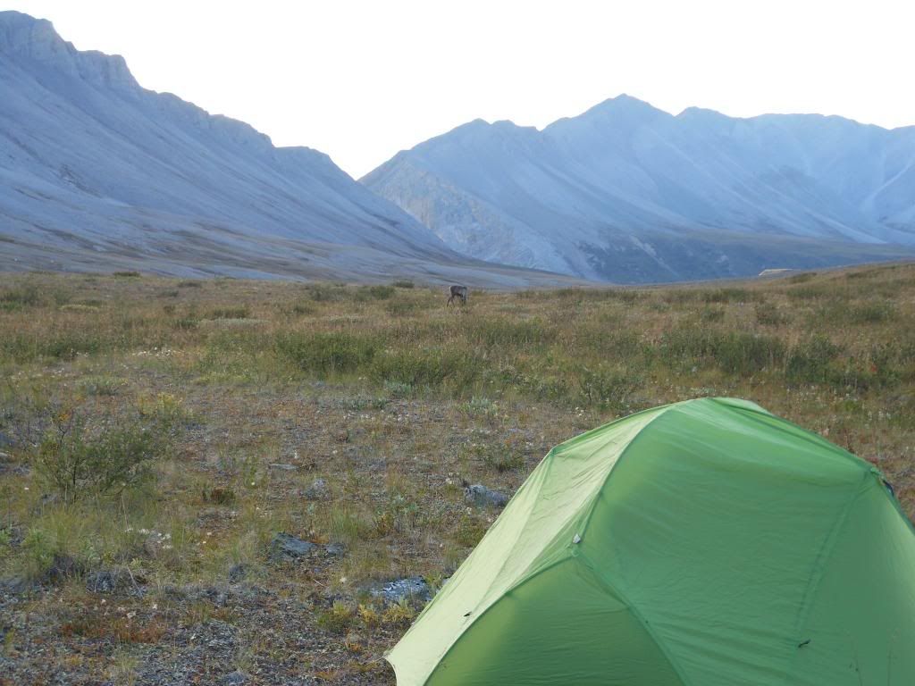 image-7.jpg
